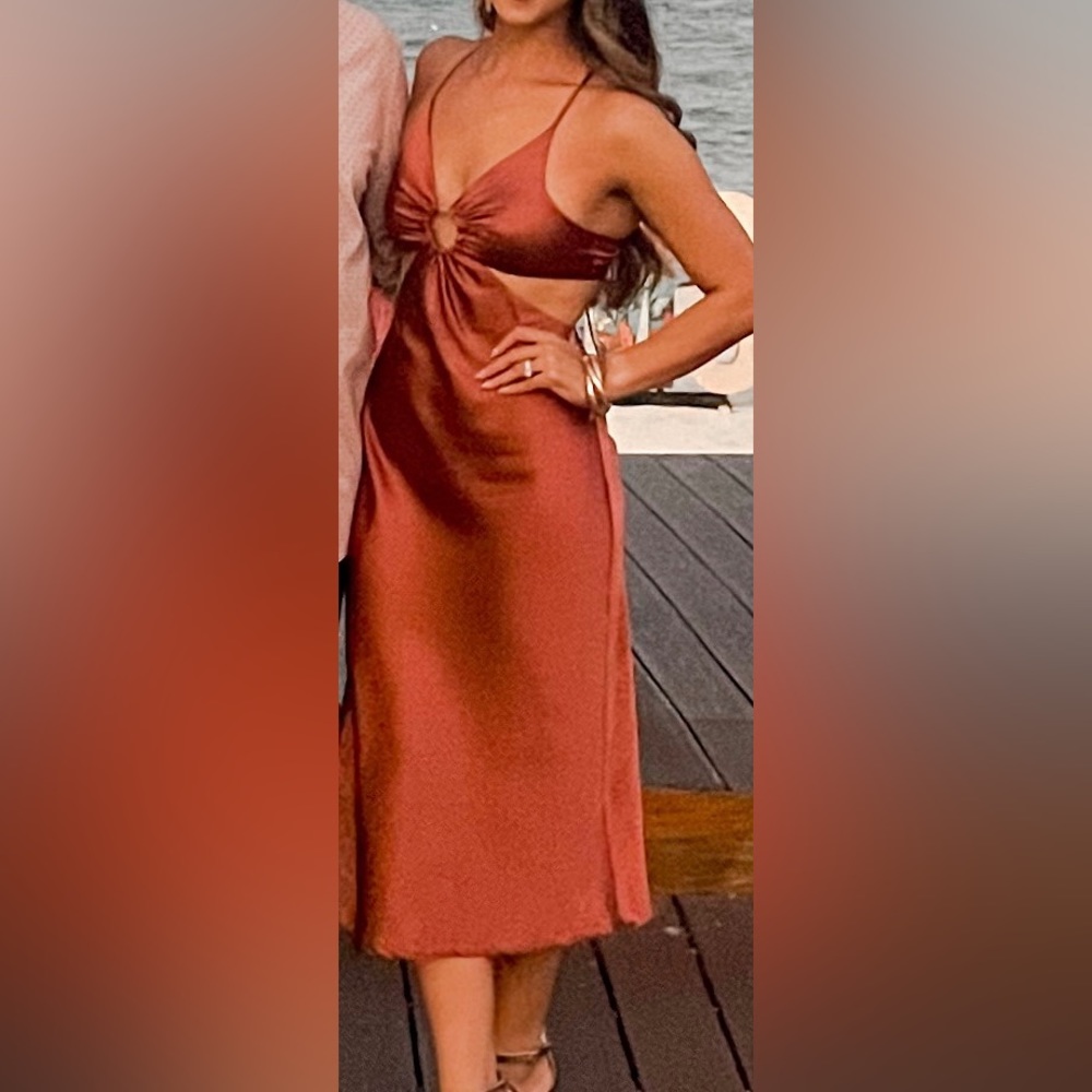 Petal & Pup Rust Nairo Dress